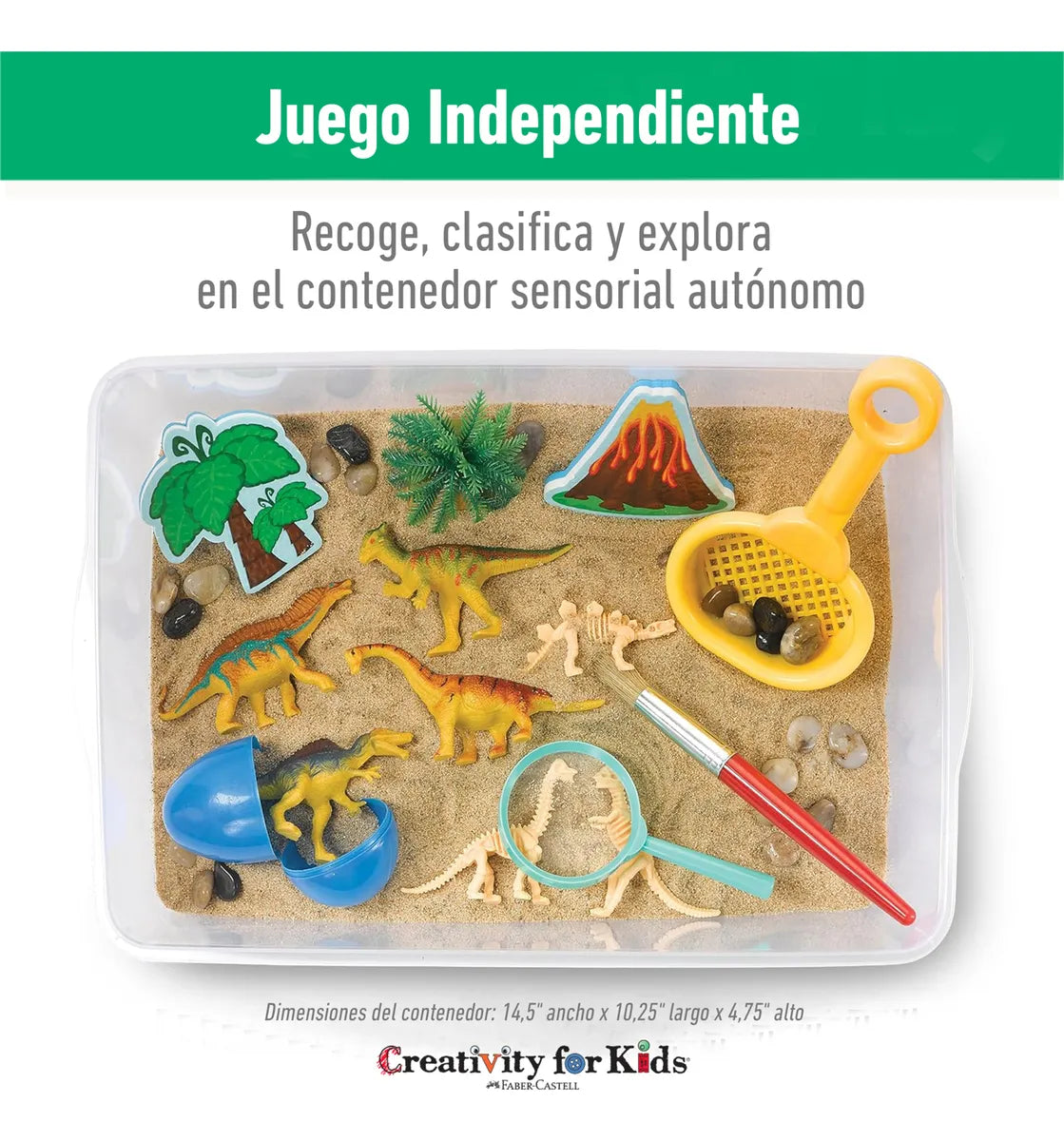 Pack x2: Dinosaurios y Espacio Sensorial