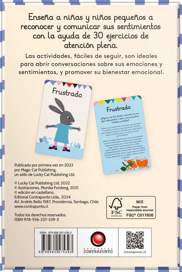 Emociones y sentimientos: Tarjetas de actividades