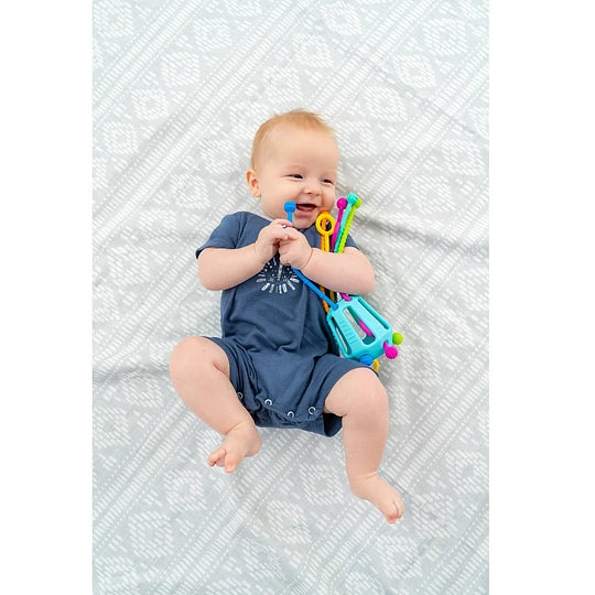 Zippee, juguete sensorial 6m+