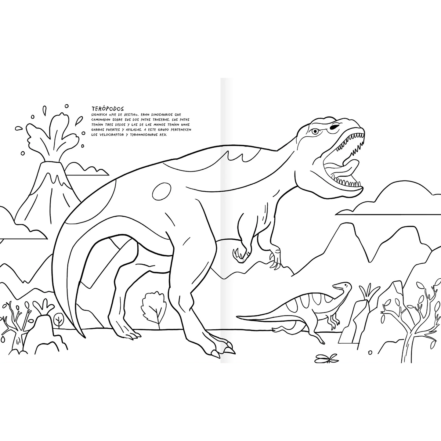 Pack x3: Colorear y Actividades Version A