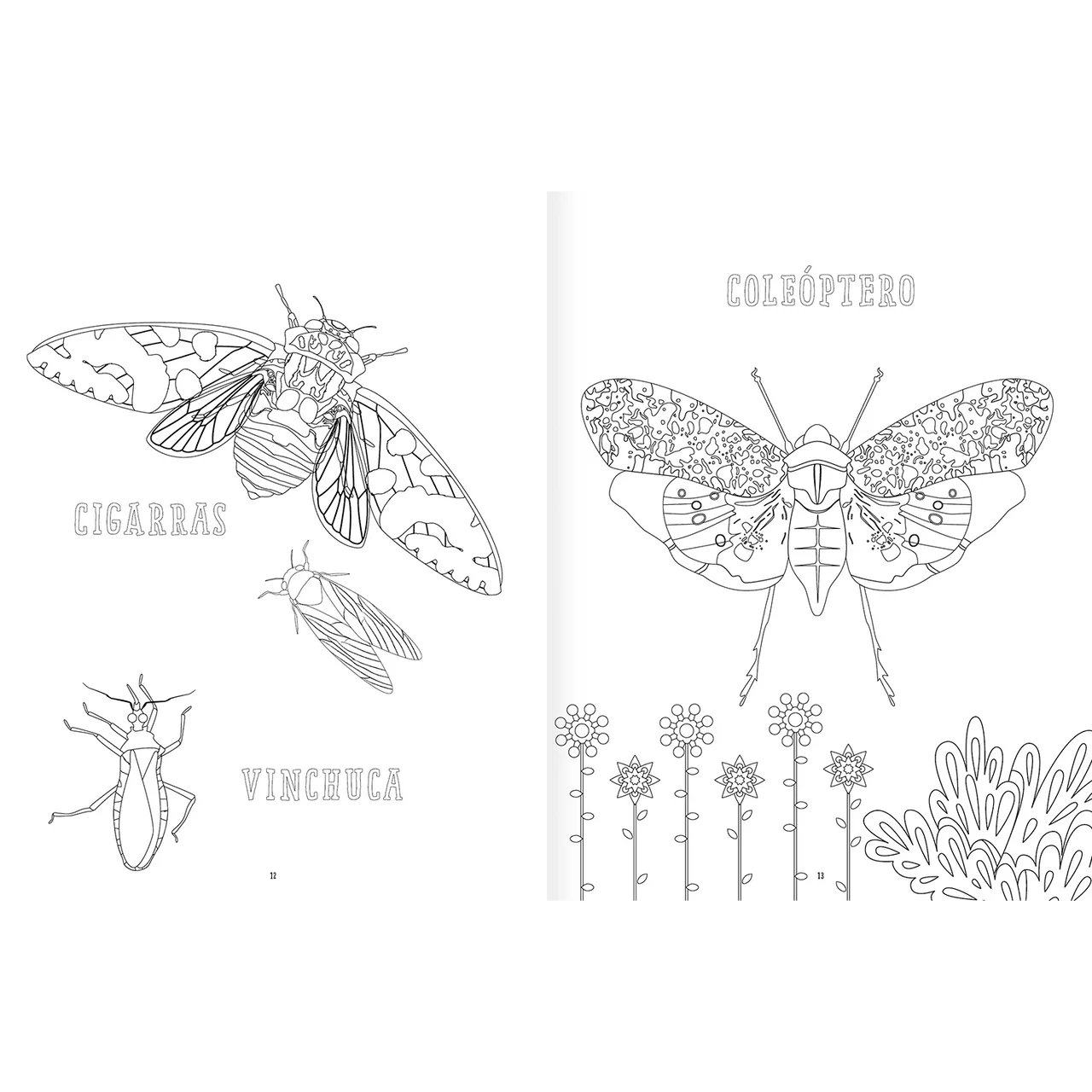 Pack x3: Colorear y Actividades Version B