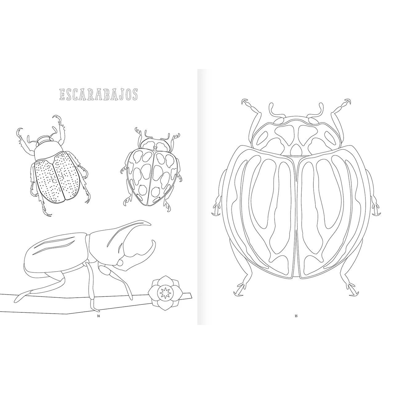 Pack x3: Colorear y Actividades Version B
