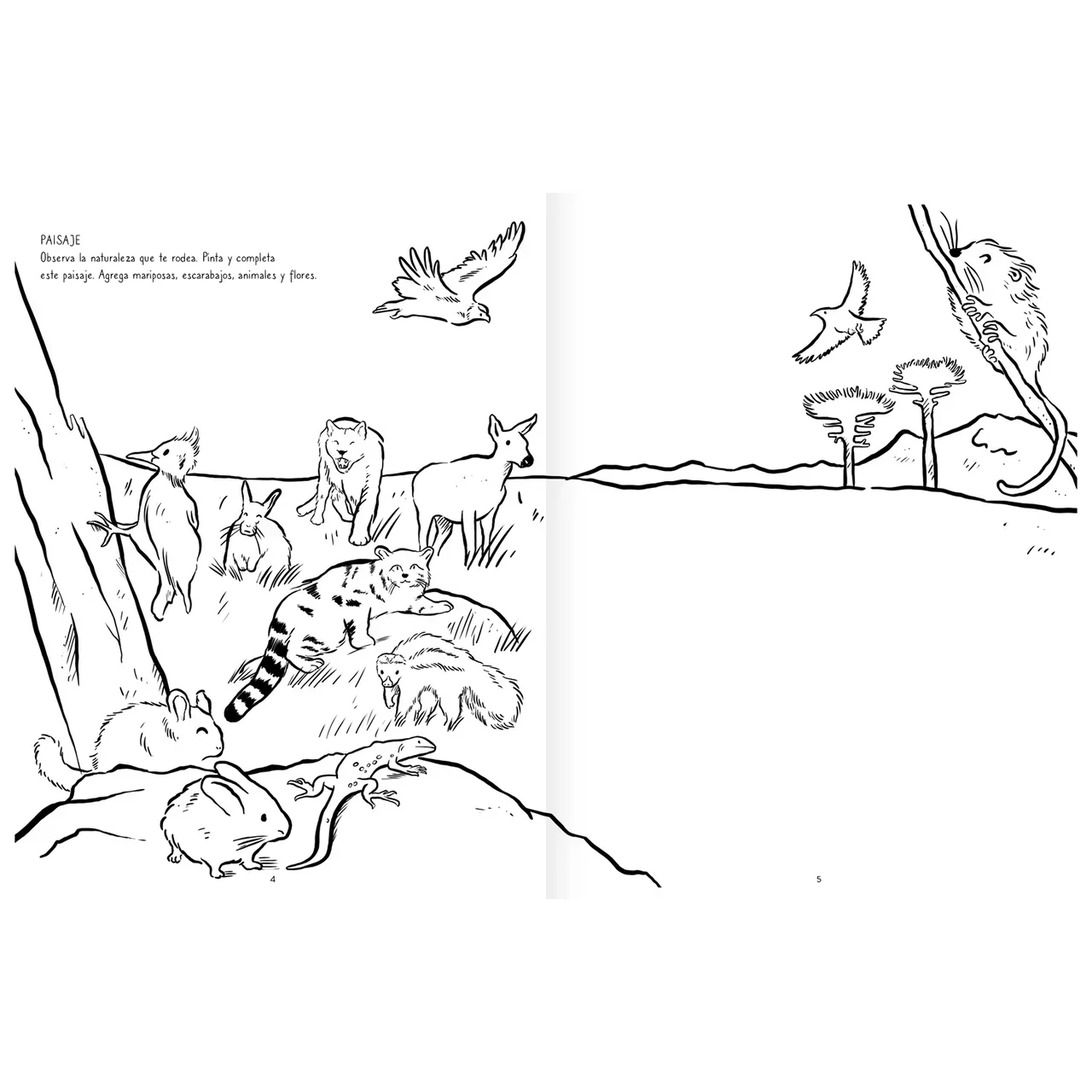 Pinta y crea (observación y creación coloreando) - Manabu