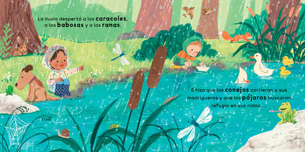 Veo una nube. Ciencia para niños (University of Cambridge) (procesos naturales, ciencia, nubes. Curiosidad y aprendizaje)