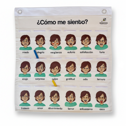 Bitácora Emocional. (identificación de las emociones)