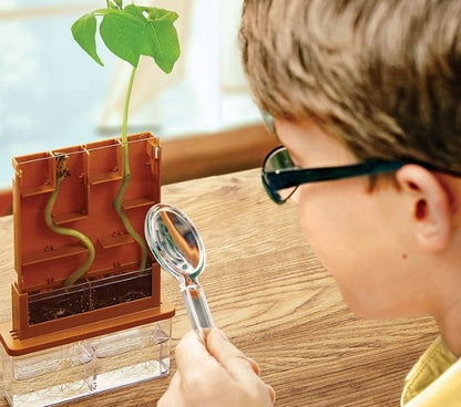 Ciencia Crece Planta (fomenta el interés por la naturaleza). 3+