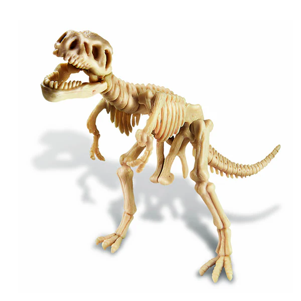Dinosaurio Rex Excava. 4+