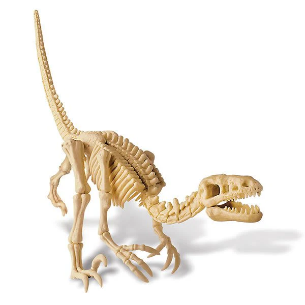 Dinosaurio Velociraptor Excava. 4+