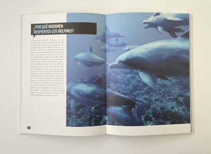 El libro de los porqués