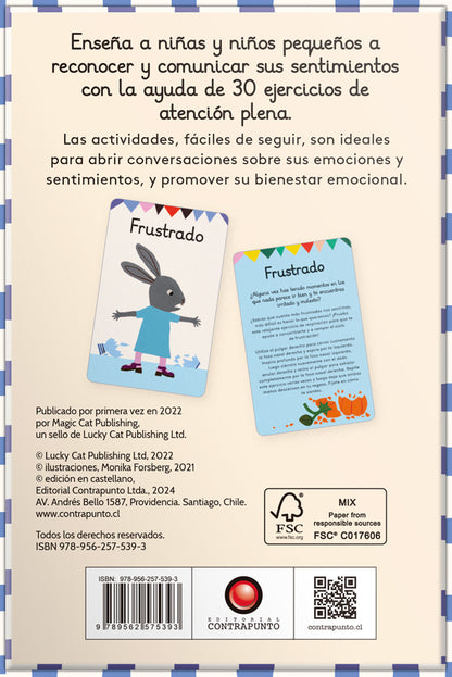 Emociones y sentimientos: Tarjetas de actividades