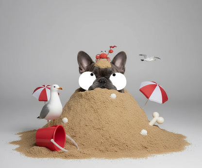 Federico malas pulgas (atreverse a cosas nuevas, buena actitud)