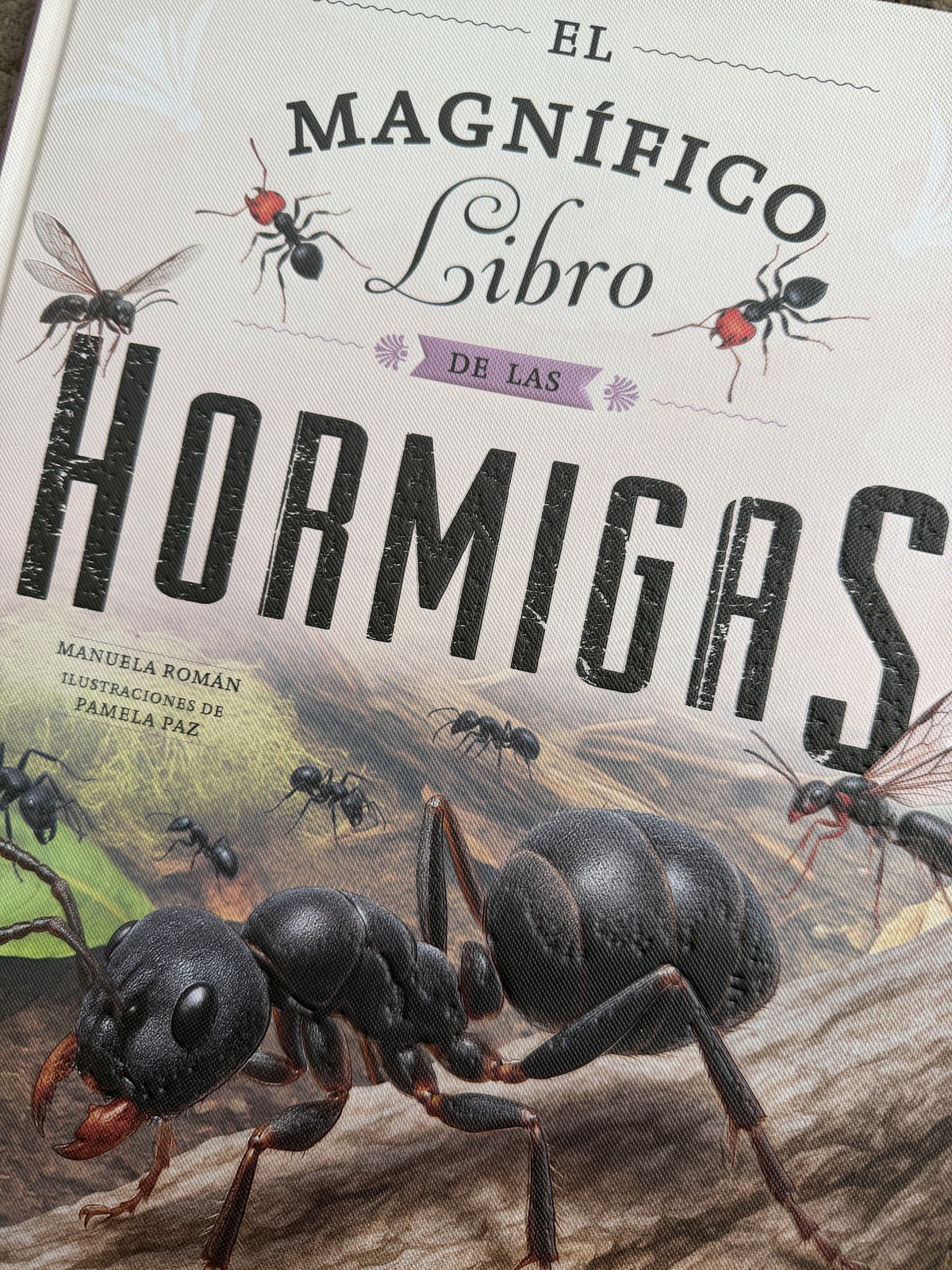 El Magnífico libro de las Hormigas