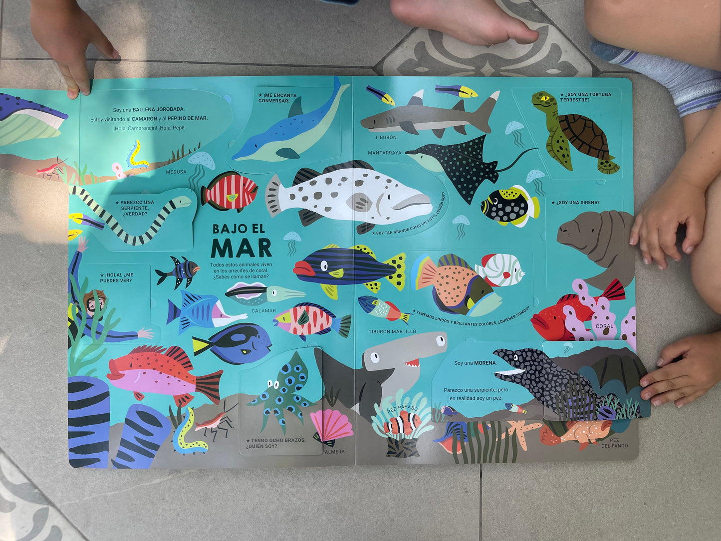 Mi primer libro gigante de animales (animales, curiosidad, solapas).