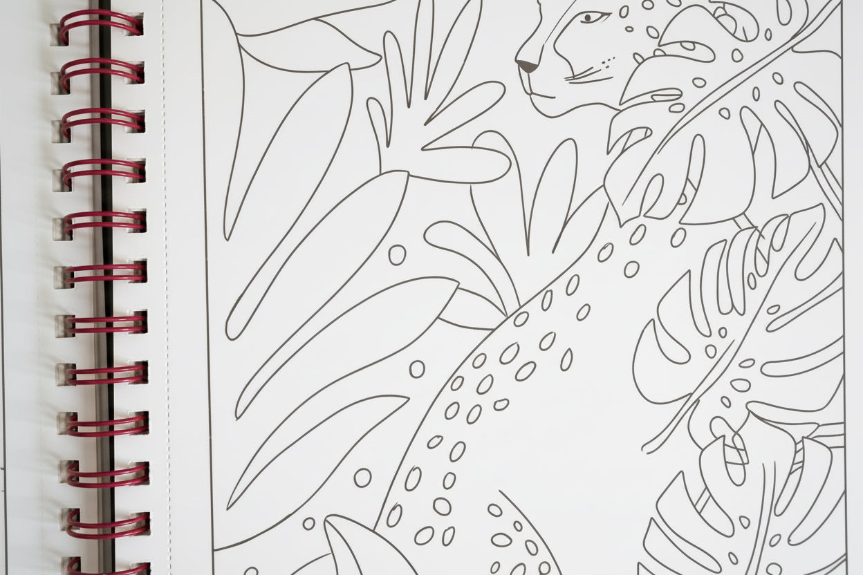 Pájaros en la Cabeza. Libro para colorear. 8+