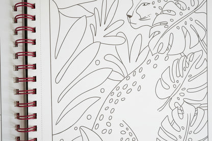 Pájaros en la Cabeza. Libro para colorear. 8+