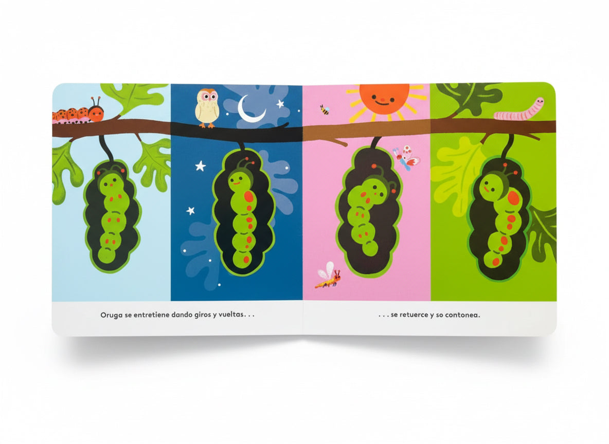 Pequeños ciclos de la vida - Oruga. 0 a 3 años