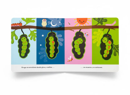 Pequeños ciclos de la vida - Oruga. 0 a 3 años