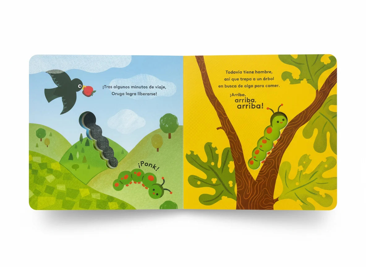 Pack x2: Pequeños ciclos de la vida: Oruga y Rana