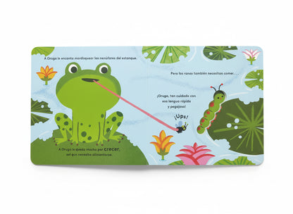 Pequeños ciclos de la vida - Oruga. 0 a 3 años