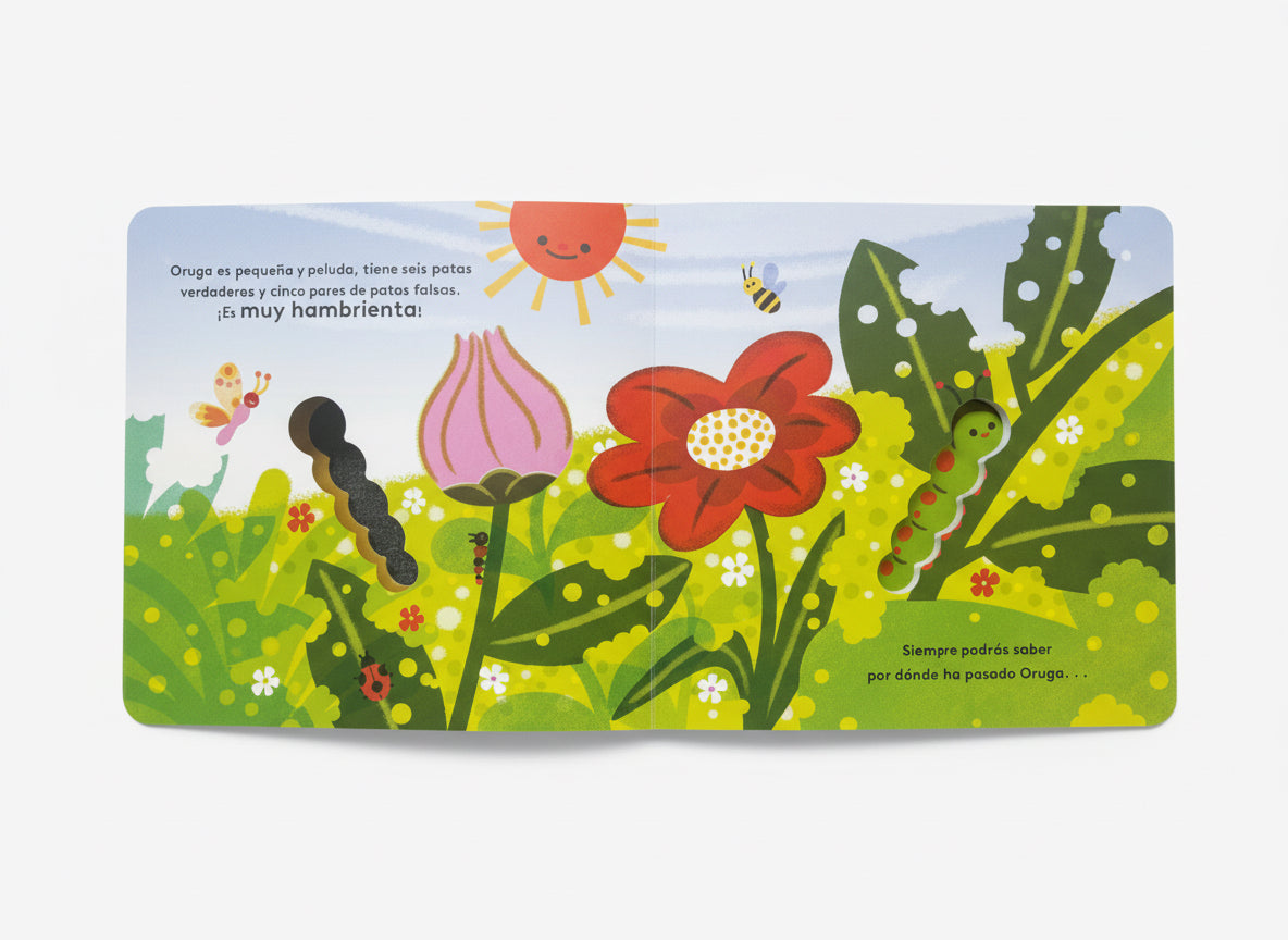 Pequeños ciclos de la vida - Oruga. 0 a 3 años