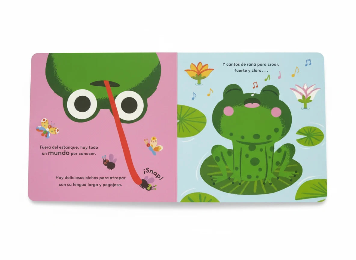 Pack x2: Pequeños ciclos de la vida: Oruga y Rana