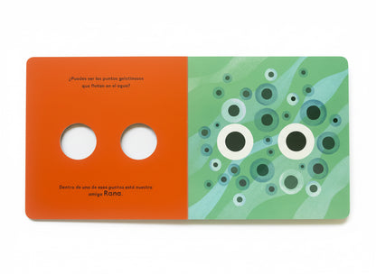 Pequeños ciclos de la vida - Rana. 0 a 3 años