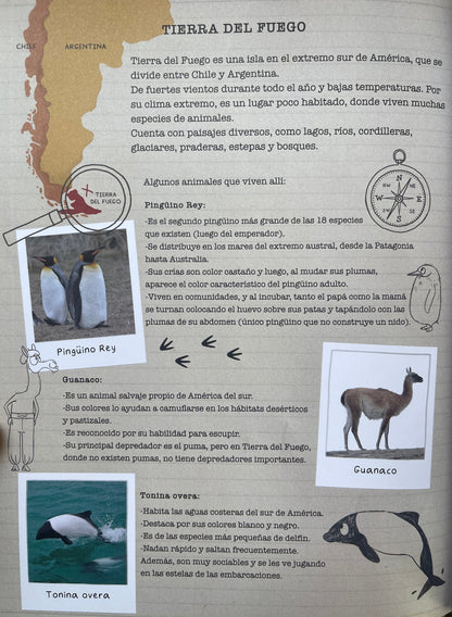 Un Pingüino Rey (amistad y resolución de problemas) 4 años +