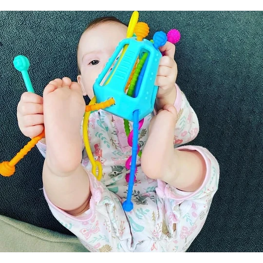 Zippee, juguete sensorial 6m+