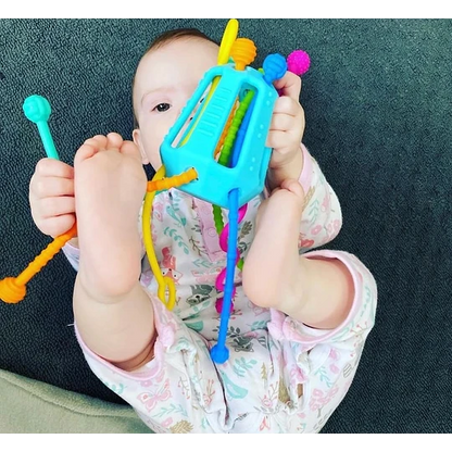 Zippee, juguete sensorial 6m+