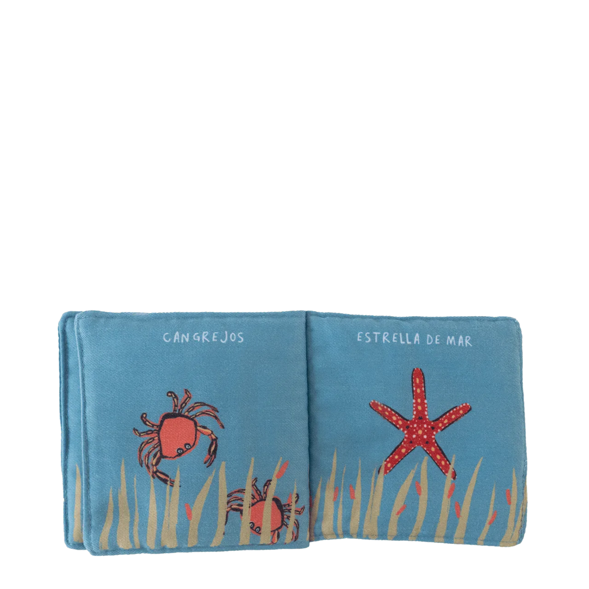 Pack: Toca y Descubre la Vida Animal