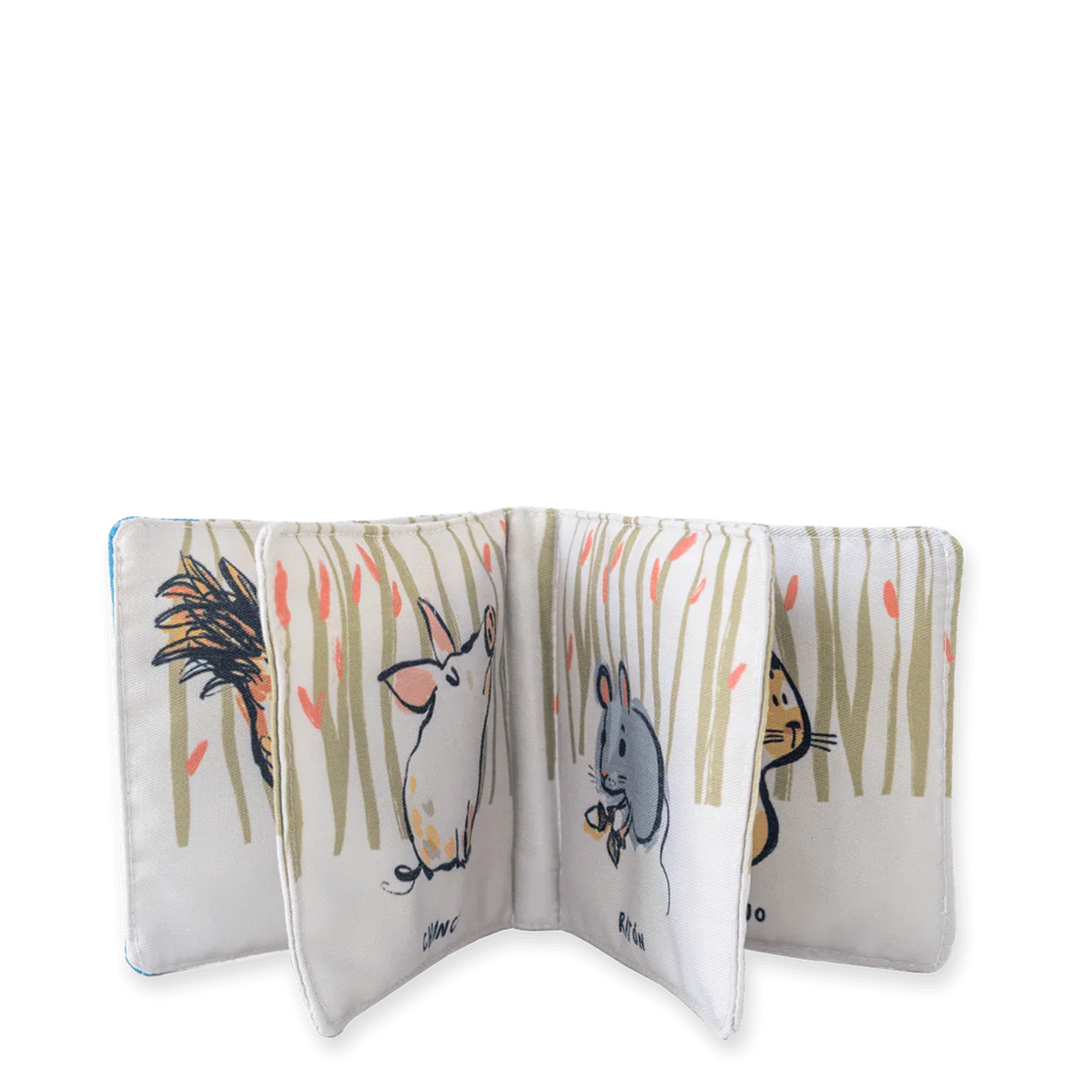 Pack: Toca y Descubre la Vida Animal