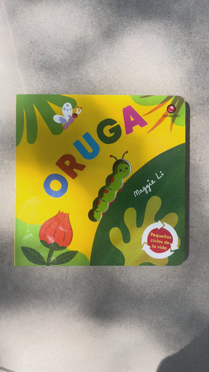Pequeños ciclos de la vida - Oruga. 0 a 3 años
